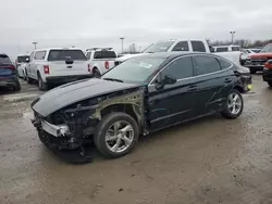 Salvage cars for sale at Indianapolis, IN auction: 2022 Hyundai Sonata SE