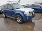 2008 Ford Escape XLT