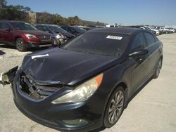 Salvage cars for sale from Copart Orlando, FL: 2013 Hyundai Sonata SE