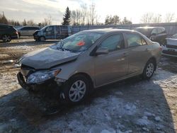 Toyota Vehiculos salvage en venta: 2009 Toyota Corolla Base