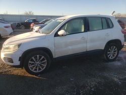 Salvage cars for sale from Copart Kansas City, KS: 2017 Volkswagen Tiguan S