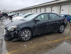 Salvage cars for sale from Copart Louisville, KY: 2016 Toyota Corolla L