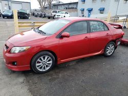 2009 Toyota Corolla Base for sale in Albuquerque, NM