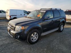 Salvage cars for sale from Copart -no: 2010 Ford Escape Hybrid