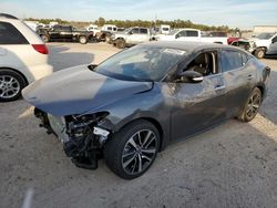 Salvage cars for sale from Copart Houston, TX: 2023 Nissan Maxima SV