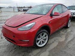 Salvage cars for sale at Cahokia Heights, IL auction: 2023 Tesla Model Y