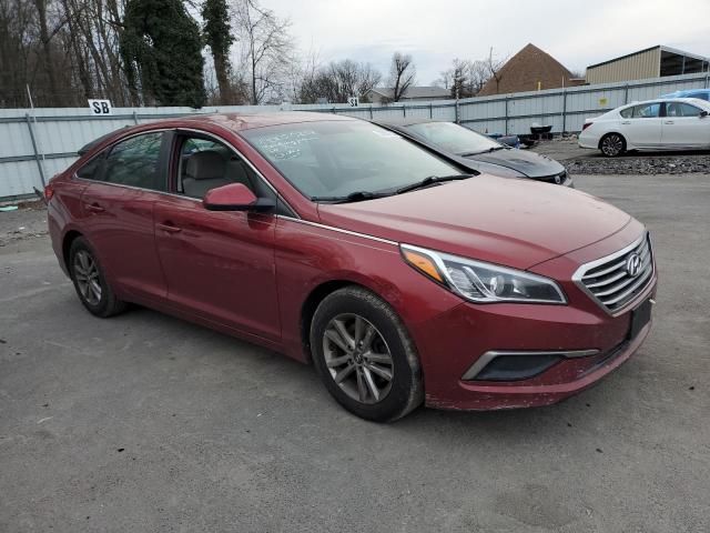 2016 Hyundai Sonata SE