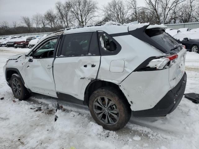 2023 Toyota Rav4 XLE Premium