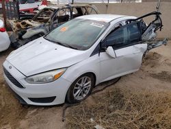 Salvage cars for sale at Albuquerque, NM auction: 2016 Ford Focus SE