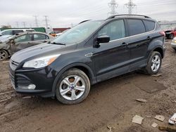 Ford Escape SE salvage cars for sale: 2014 Ford Escape SE