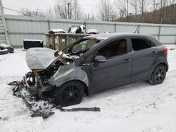 KIA Rio EX Vehiculos salvage en venta: 2014 KIA Rio EX