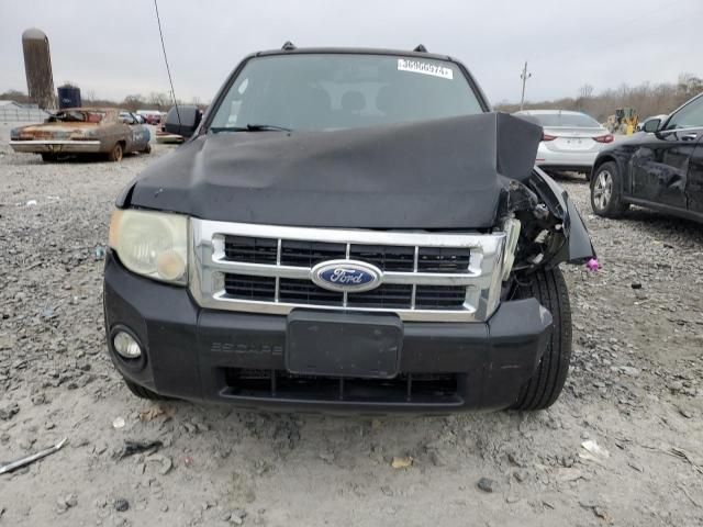 2010 Ford Escape XLT