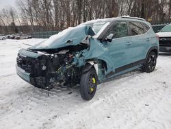 Salvage cars for sale from Copart Candia, NH: 2024 KIA Seltos EX