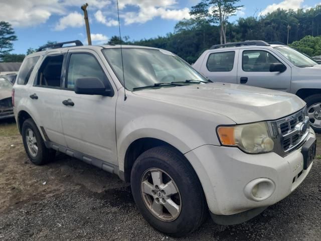 2009 Ford Escape XLT