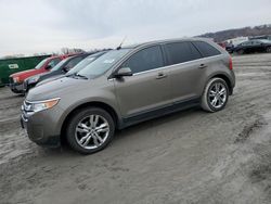 Ford Edge Limited Vehiculos salvage en venta: 2013 Ford Edge Limited