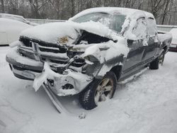 Salvage cars for sale from Copart Glassboro, NJ: 2007 Dodge RAM 1500 ST