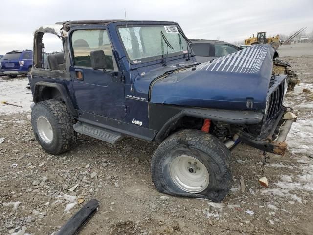 2002 Jeep Wrangler / TJ X