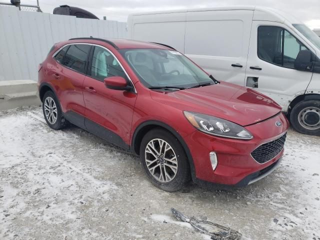 2021 Ford Escape SEL