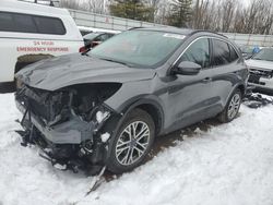 Salvage cars for sale from Copart Davison, MI: 2022 Ford Escape SEL