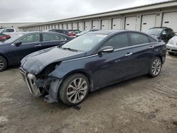 2013 Hyundai Sonata SE for sale in Louisville, KY