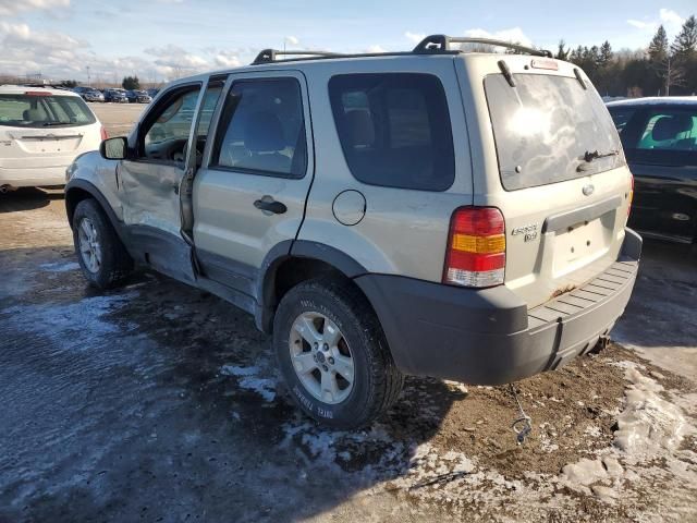 2005 Ford Escape XLT