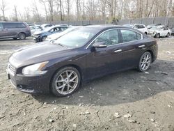 Salvage cars for sale at Waldorf, MD auction: 2010 Nissan Maxima S