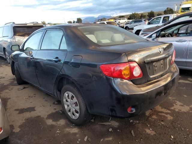 2009 Toyota Corolla Base