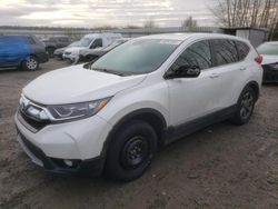 Salvage cars for sale from Copart Arlington, WA: 2019 Honda CR-V EX