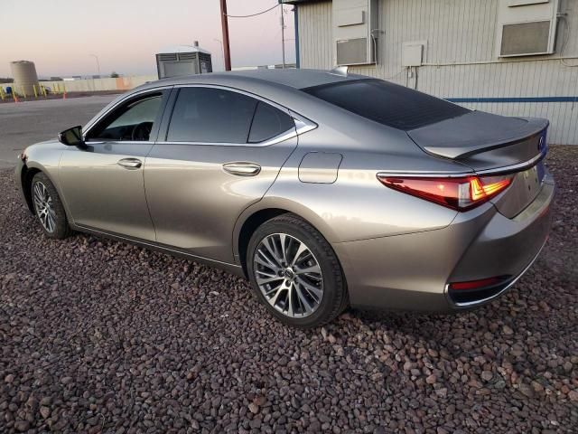 2021 Lexus ES 250 Base