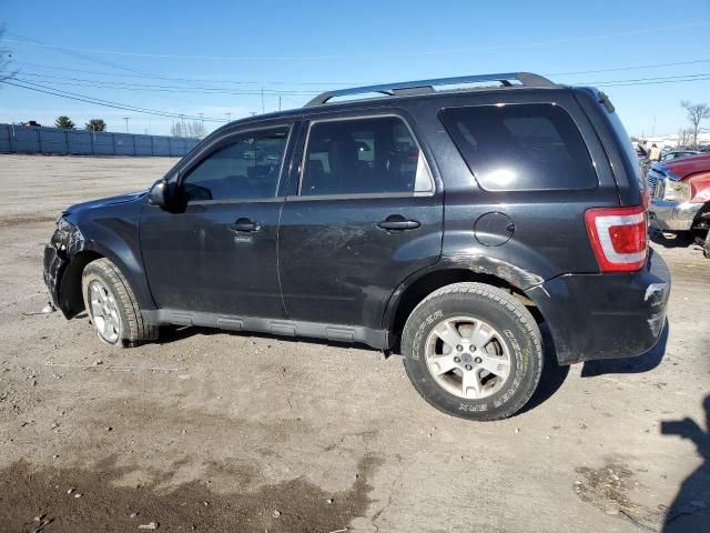 2011 Ford Escape Limited