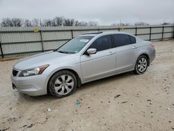 Salvage cars for sale from Copart New Braunfels, TX: 2008 Honda Accord EXL