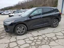 Salvage cars for sale at Hurricane, WV auction: 2023 Ford Escape ST Line