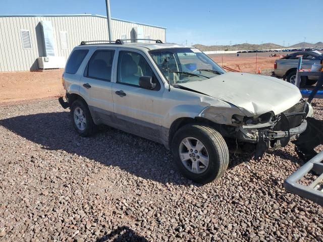 2006 Ford Escape XLT