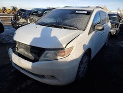 Salvage cars for sale at Brighton, CO auction: 2013 Honda Odyssey EXL