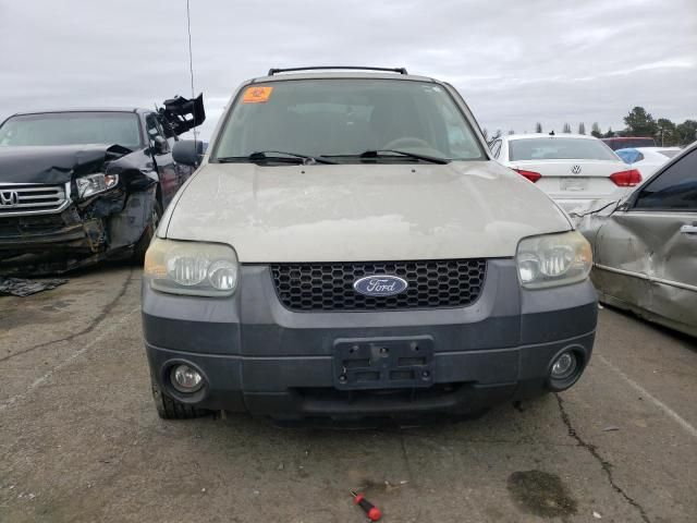 2005 Ford Escape XLT