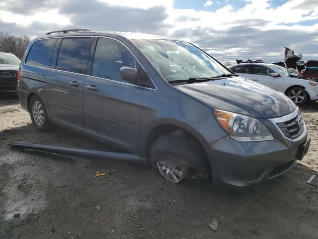 2010 Honda Odyssey EXL