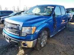 Ford salvage cars for sale: 2014 Ford F150 Supercrew