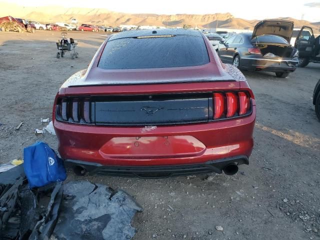 2019 Ford Mustang