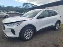 Ford salvage cars for sale: 2023 Ford Escape Active