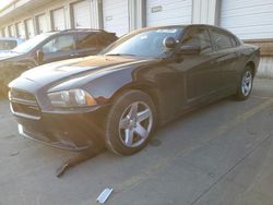 Salvage cars for sale at Louisville, KY auction: 2014 Dodge Charger Police