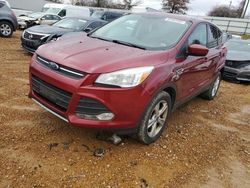 Salvage cars for sale at Cahokia Heights, IL auction: 2013 Ford Escape SE