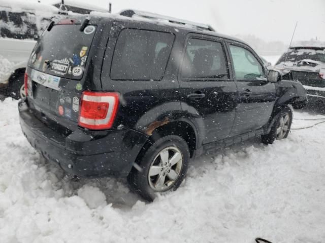 2010 Ford Escape Limited