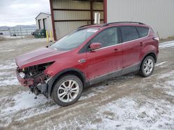 Salvage cars for sale from Copart Helena, MT: 2018 Ford Escape SE