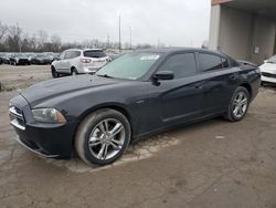 Dodge salvage cars for sale: 2013 Dodge Charger R/T