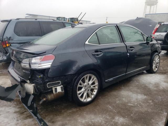 2010 Lexus HS 250H