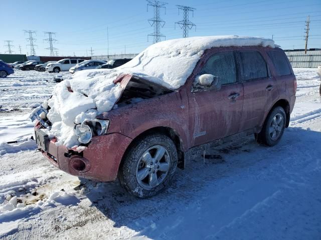 2008 Ford Escape XLT