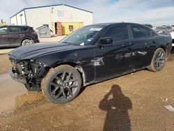 Dodge salvage cars for sale: 2023 Dodge Charger SXT