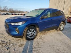 Salvage cars for sale from Copart Lawrenceburg, KY: 2023 Ford Escape Active