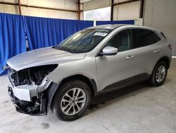 Salvage cars for sale at Hurricane, WV auction: 2020 Ford Escape SE