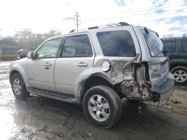 2010 Ford Escape Hybrid